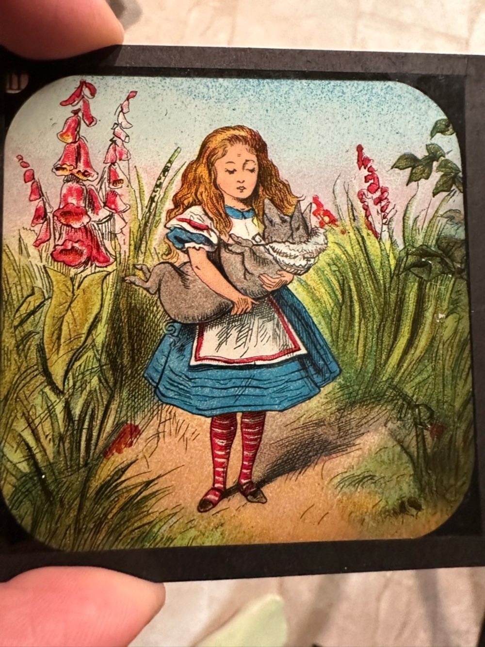 Alice in Wonderland Primus Magic Lantern Slides #777 Chapter II complete set box - Picture 16 of 16